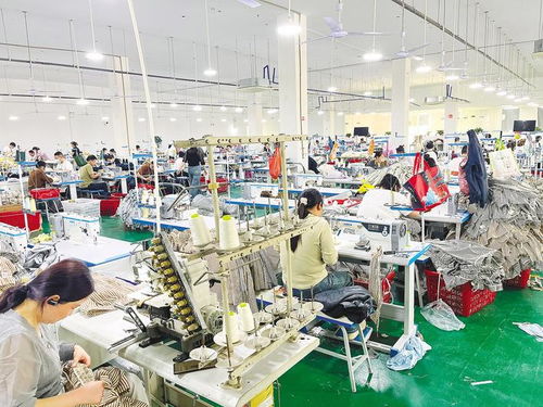 监利三年引回近300家服装企业 十万裁缝开启返乡创业新图景