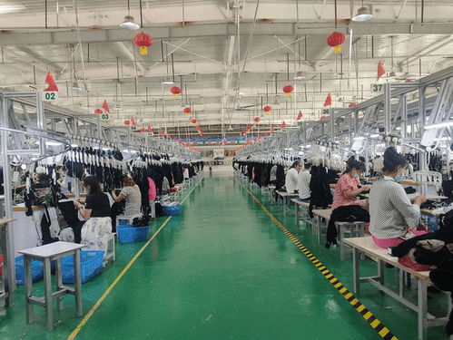 建立片区工厂 带动1800人就业